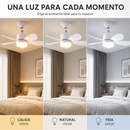Ventilador de Techo 2 en 1 con Lámpara LED y Control Remoto Linden