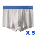 Pack de 5 Bóxers Premium a Rayas para Hombre  Linden